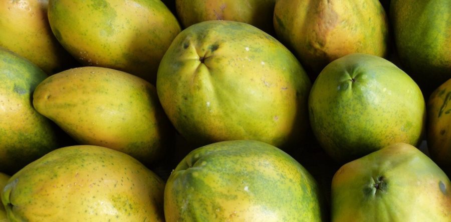 22 productos agrícolas oaxaqueños en el ranking nacional: Economía