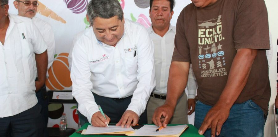 La SE concreta la exportación de tomate y otros productos a los Estados Unido