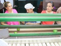 Impulsa Mariana Benítez la exportación de limón de productores de la Cuenca