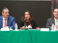 Preside Mariana Benítez reunión de comisiones unidas de Zonas Económicas Especiales y Economía del Congreso de la Unión