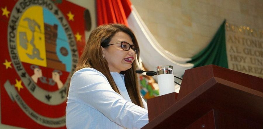 Presenta Leslie Zavaleta iniciativa de ley para fomentar a las organizaciones sociales