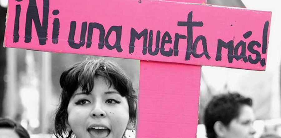 No fue suicidio, fue feminicidio: Raúl Castellanos 