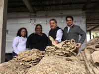 Oaxaca, tercer productor nacional de hule
