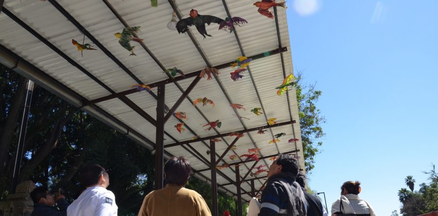 Inauguran en la capital exposición “Las Tortolitas Cantadoras” y “Los Huajes de mi Ciudad”