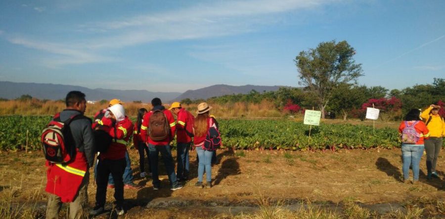 Trabajadores de la COESFO protestan en el Tequio
