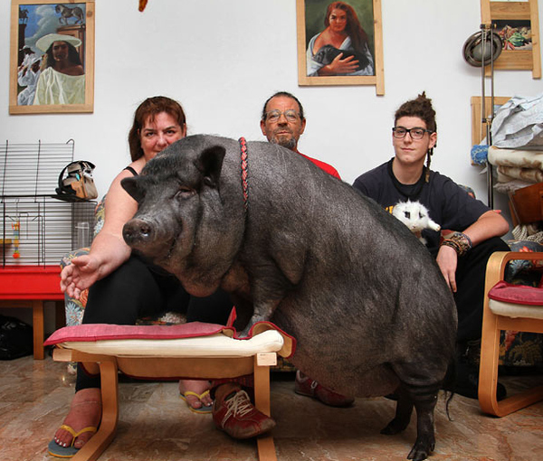 ¿Animales: seres vivos o cosas? ¿tienen derechos? ¿Las personas tenemos deberes respecto a ellos?: Adrián Ortiz