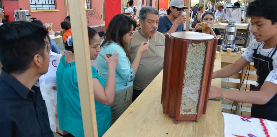 Invitan a visitar la Expo “Cafés de Oaxaca”, en el Jardín Carbajal