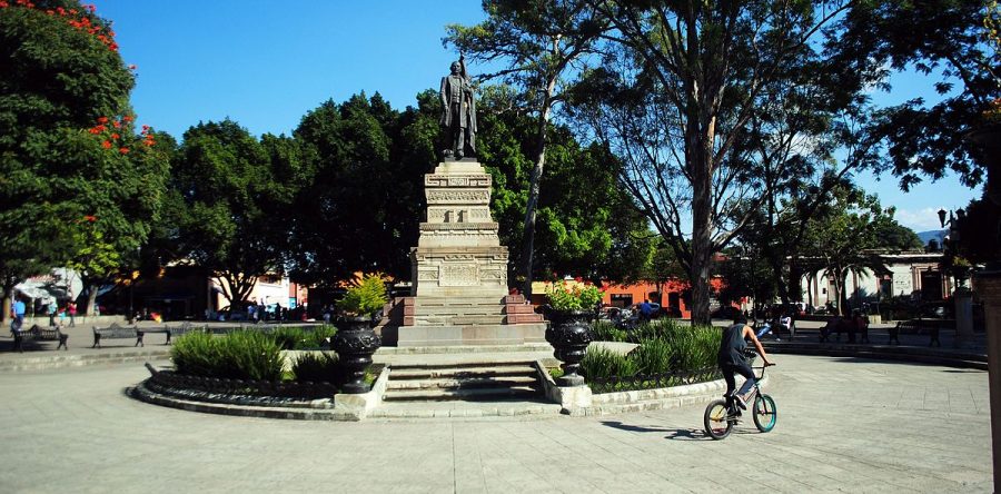 Activistas piden mantenimiento y atención al parque el Llano
