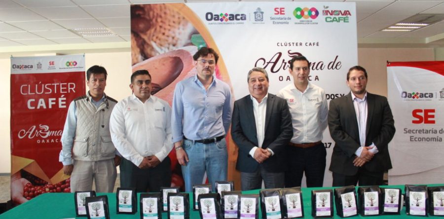 Secretaría de Economía e IInovacafé impulsan Clúster de Café para otorgar valor agregado al aromático oaxaqueño