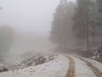 Declara Segob emergencia para 52 municipios en Oaxaca por helada