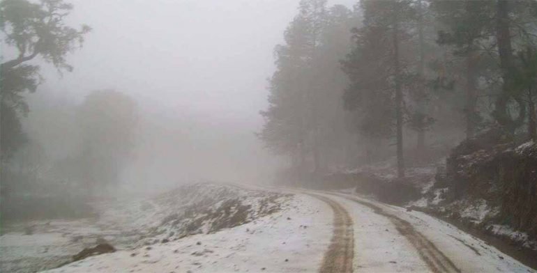 Declara Segob emergencia para 52 municipios en Oaxaca por helada