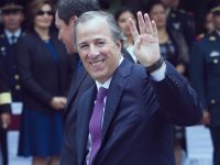 Meade y la crisis del estado: Moisés Molina.