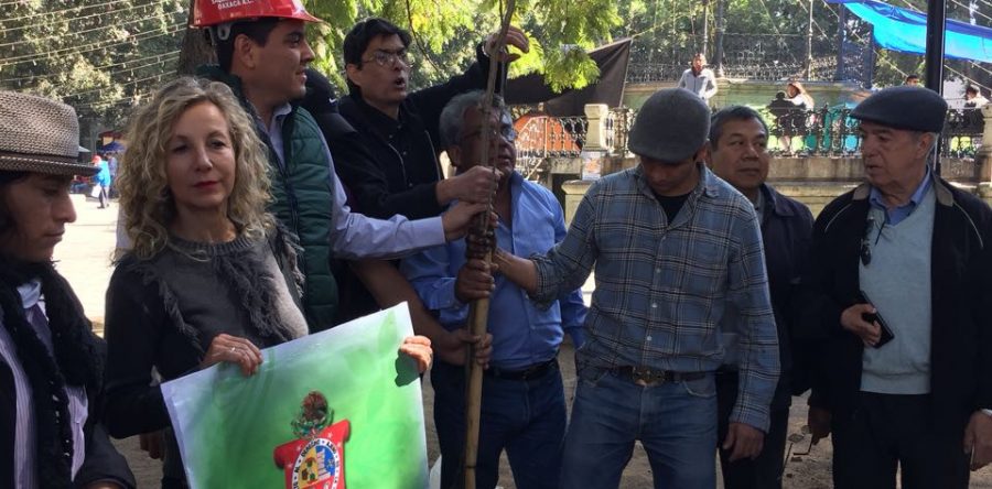 Pide Nazario a las autoridades atención al arbolado