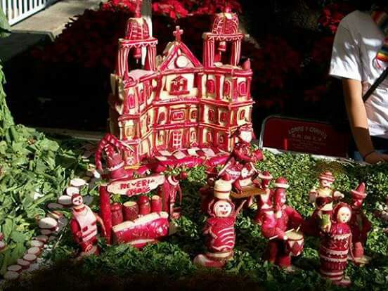 Amagan brigadistas forestales con evitar cosecha de rábanos