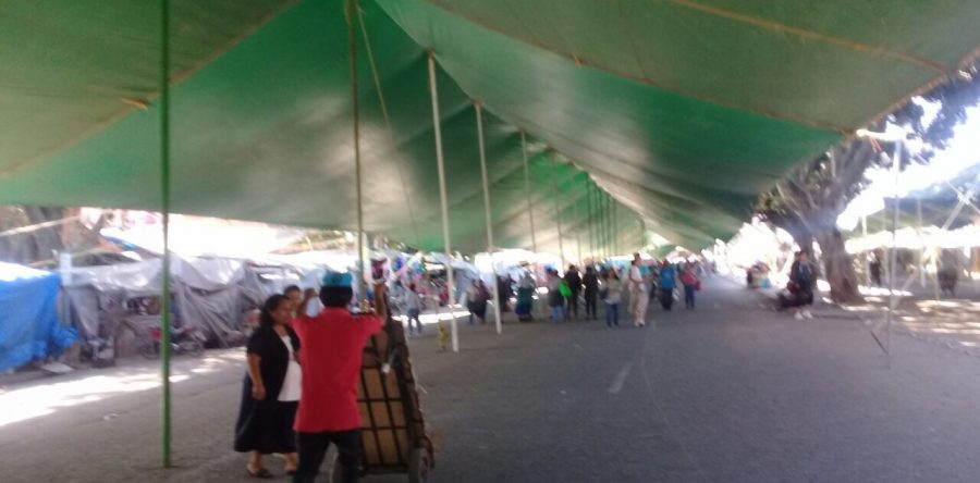 Se espera más de 100 mil personas en Avenida Central por vendimia de Reyes Magos