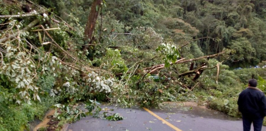 Frente Frío, provoca daños en Oaxaca: CEPCO