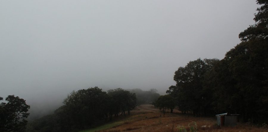 Prevalecerá intenso frío en Oaxaca: CEPCO