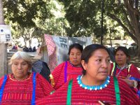 Desplazadas de Copala piden su reubicación.