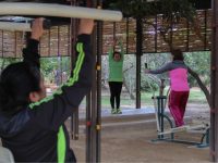 Gimnasios al aire libre, una alternativa de activación física para la población