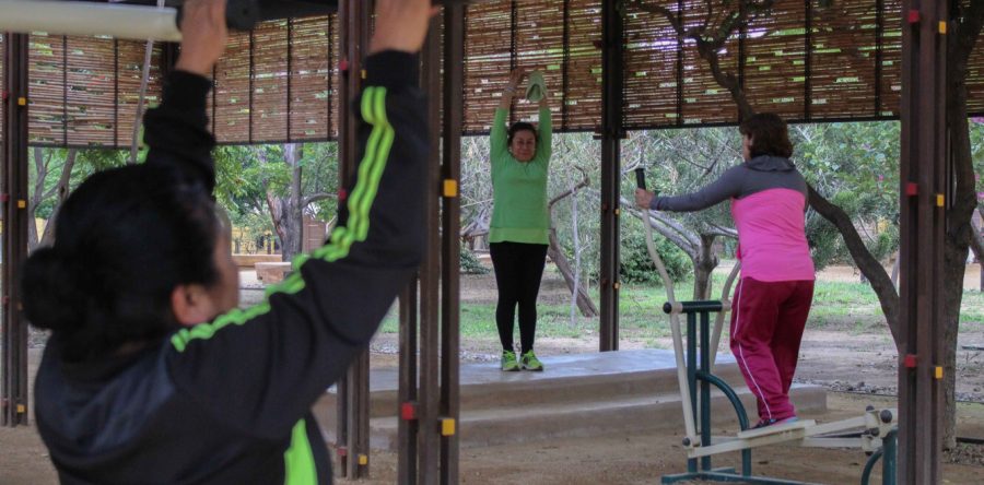 Gimnasios al aire libre, una alternativa de activación física para la población