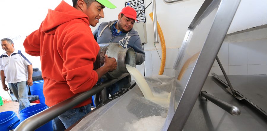 Reconoce Confederación Nacional Ganadera compra récord de Liconsa en leche nacional