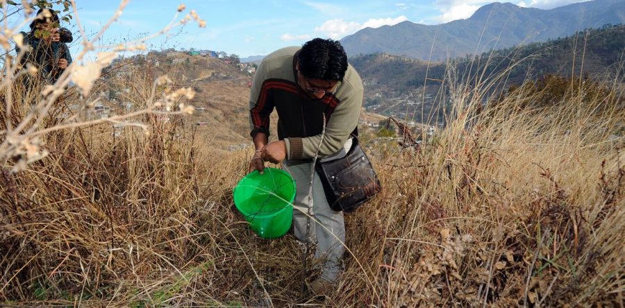 Participa Gobierno Municipal en la “Primera Jornada de Mantenimiento de Reforestación”