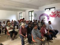 Nestlé México y cafeticultores de la Sierra Mazateca fortalecerán comercialización del grano