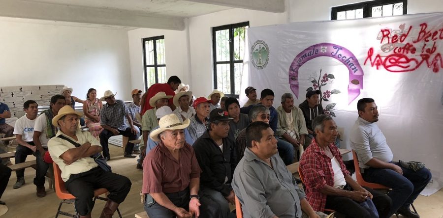 Nestlé México y cafeticultores de la Sierra Mazateca fortalecerán comercialización del grano