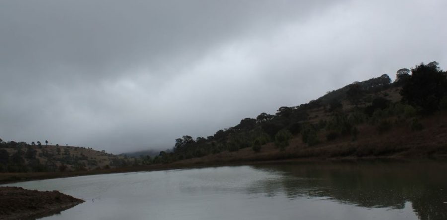 Frente Frío 21 se dejará sentir este martes en Oaxaca: CEPCO
