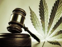 Urgente, un debate serio y alejado de la falsa moral con respecto a la legalización de la marihuana: Adrián Ortiz