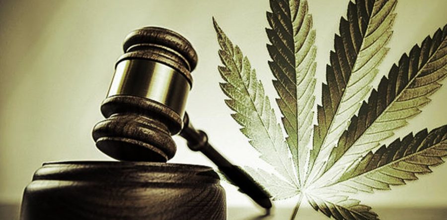 Urgente, un debate serio y alejado de la falsa moral con respecto a la legalización de la marihuana: Adrián Ortiz