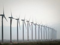 Oaxaca, Kerala y Sicilia, diferencias y coincidencias. Clústeres, ZEE y corredor eólico: la apuesta de Murat: * @pacoangelm