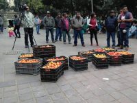 Productores de tomate piden un espacio digno para vender