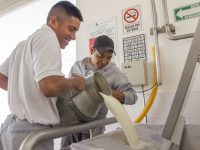 En 2017, Liconsa compró 500 millones de litros de leche a productores mexicanos