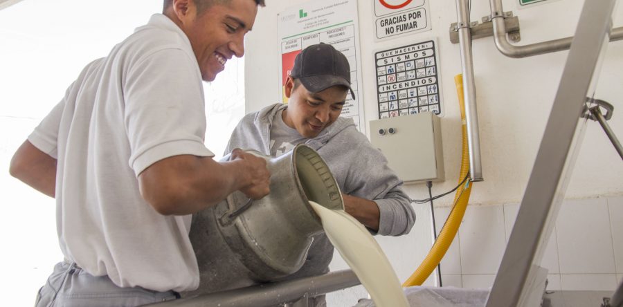 En 2017, Liconsa compró 500 millones de litros de leche a productores mexicanos