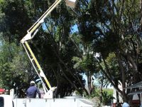 Mejora Servicios Municipales imagen urbana en la capital