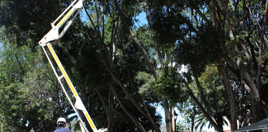 Mejora Servicios Municipales imagen urbana en la capital