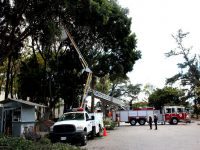 Brinda Gobierno Municipal atención integral al Paseo Juárez “El Llano”