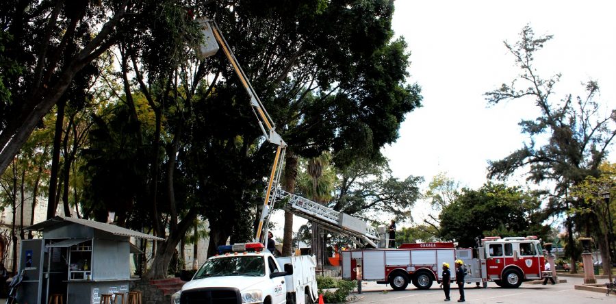 Brinda Gobierno Municipal atención integral al Paseo Juárez “El Llano”