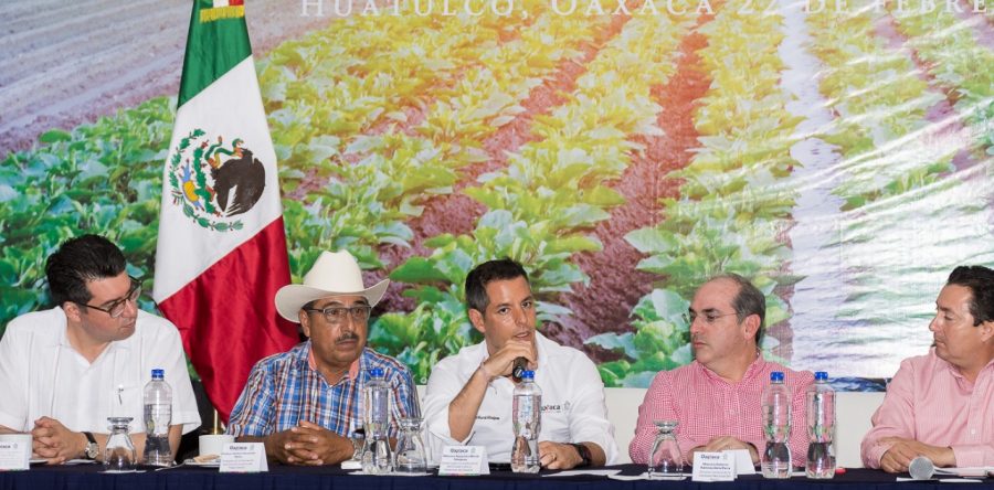 Unen esfuerzos Estado y Federación para impulsar al sector agrícola