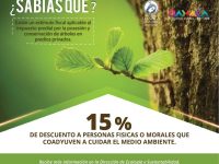 Invita Dirección de Ecología y Sustentabilidad aprovechar incentivos fiscales por posesión de arbolado