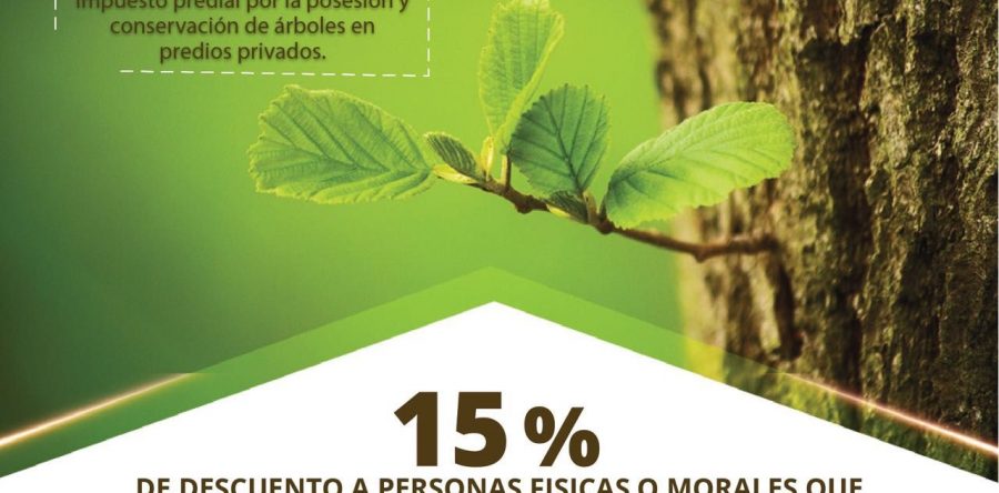 Invita Dirección de Ecología y Sustentabilidad aprovechar incentivos fiscales por posesión de arbolado