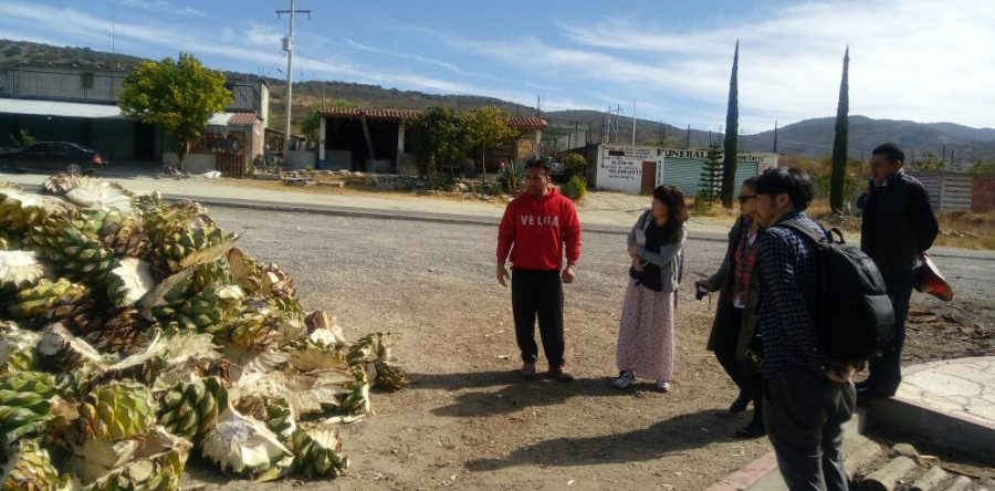 Impulsa SECTUR Oaxaca estrategias de promoción en mercado asiático