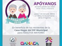 Invita DIF Municipal a participar en el “Pañatón 2018”