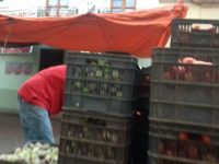 Ilegal la instalación de puestos de tomate en el centro de la ciudad