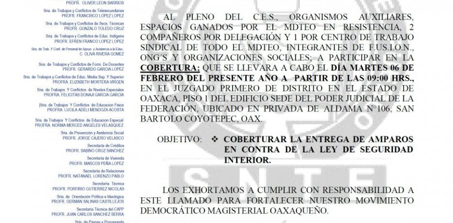 Busca Sección 22 ampararse contra Ley de Seguridad