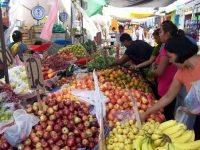 Casi el 90 % de productos alimenticios que se consumen en Oaxaca no se producen aquí