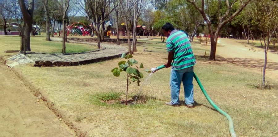 Brinda Gobierno de Oaxaca mantenimiento a instalaciones  eléctricas y tecnológicas en Ciudad Administrativa