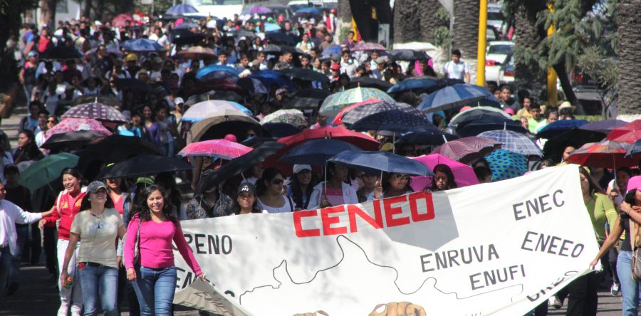 Las promesas de la Sección 22 a los normalistas, sobre su contratación automática, fueron desechables: Adrián Ortiz