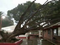 Implementa CEPCO operativo por lluvias fuertes en Oaxaca